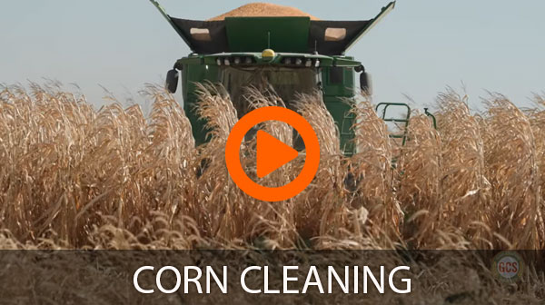 Corn Cleaning