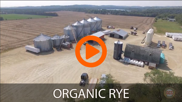 Organic Rye